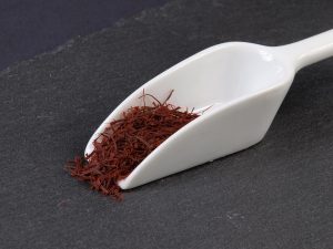 Saffron threads on a white scoop utensil.