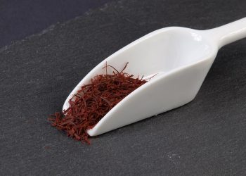 Saffron threads on a white scoop utensil.