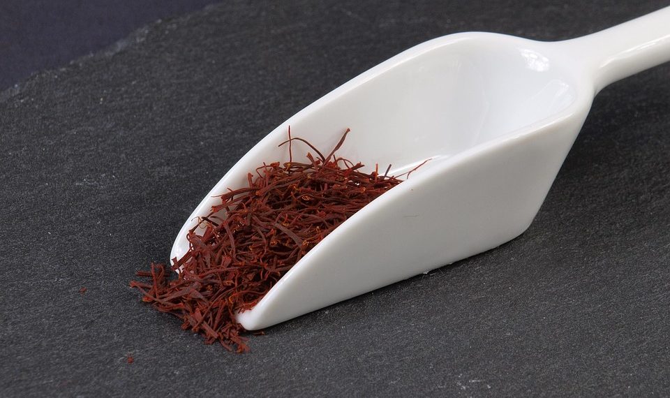 Saffron threads on a white scoop utensil.