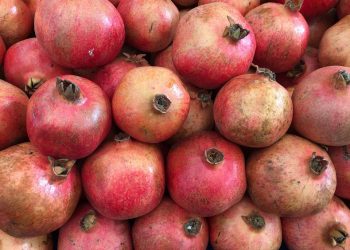 Cluster of fresh pomegranates with vibrant red color.