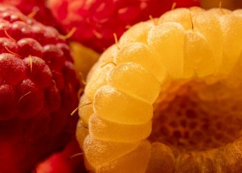 Yellow and red raspberries in close-up with detailed textures.