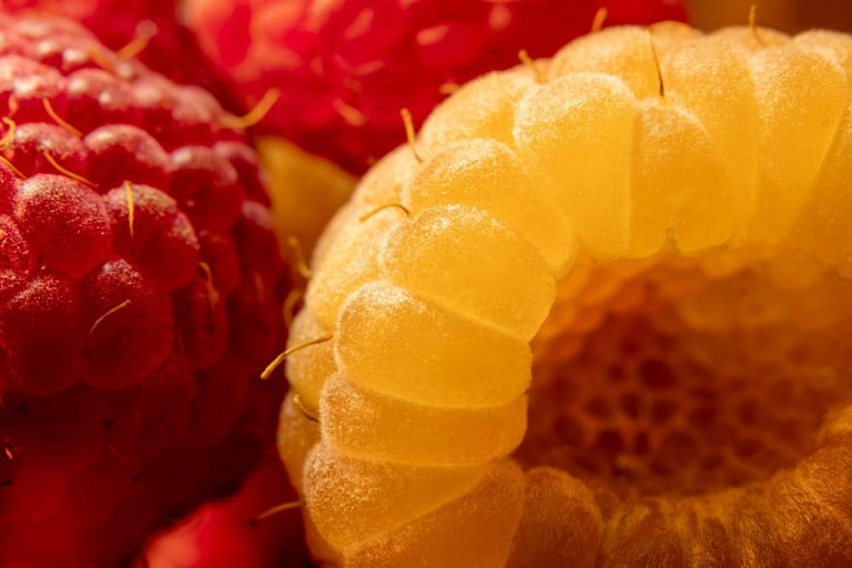 Yellow and red raspberries in close-up with detailed textures.