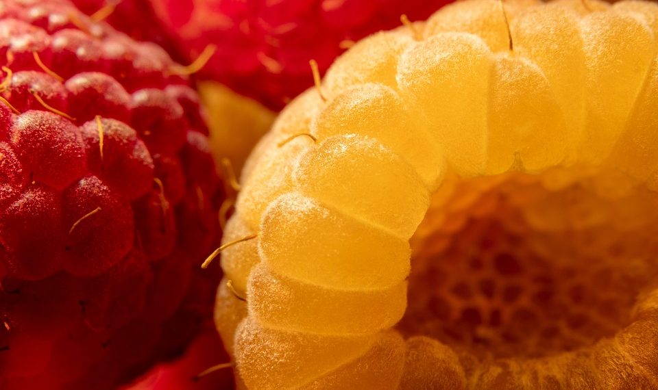 Yellow and red raspberries in close-up with detailed textures.