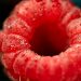 Dewy raspberry close-up showcasing vibrant red texture.