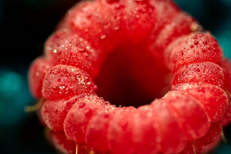 Dewy raspberry close-up showcasing vibrant red texture.