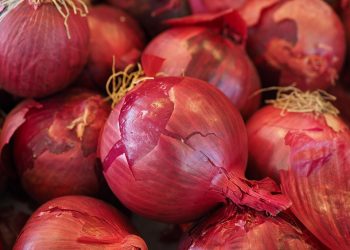 Red onions with peels intact, fresh and ready for cooking.