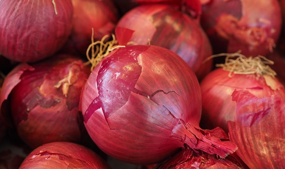 Red onions with peels intact, fresh and ready for cooking.
