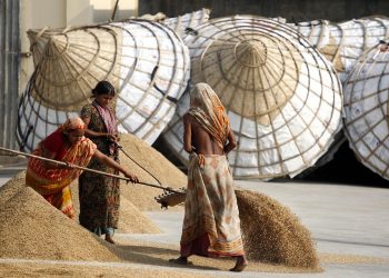 Women sorting grain at a mill with large storage baskets in the background.