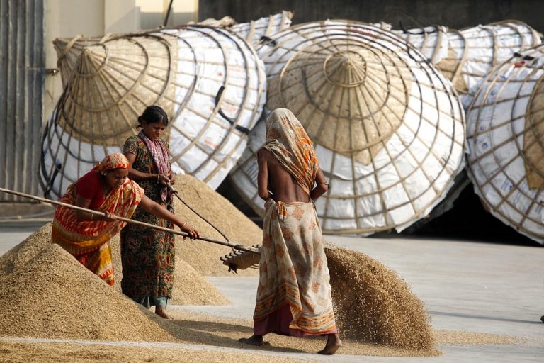 Women sorting grain at a mill with large storage baskets in the background.