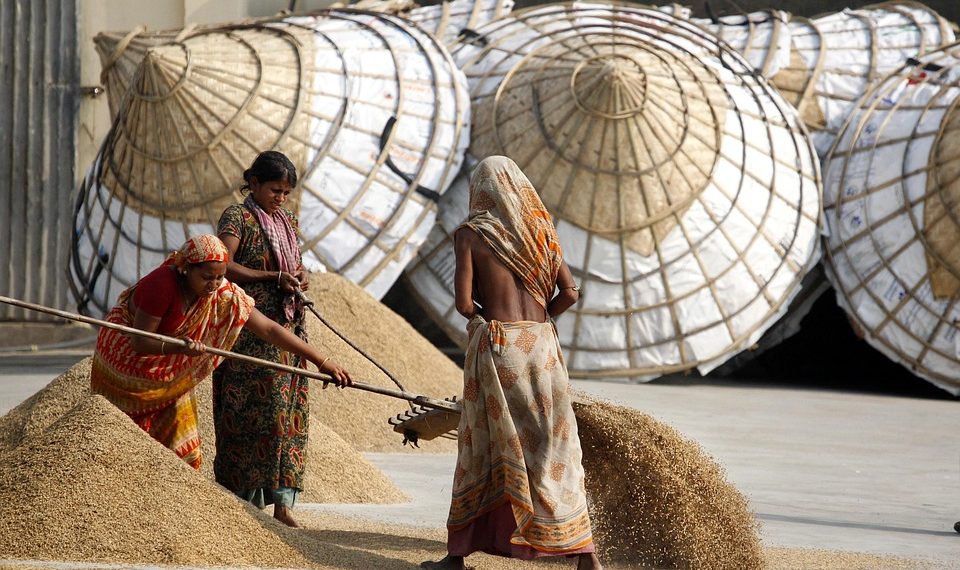 Women sorting grain at a mill with large storage baskets in the background.