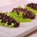 Sea cucumbers garnished on fresh lettuce.