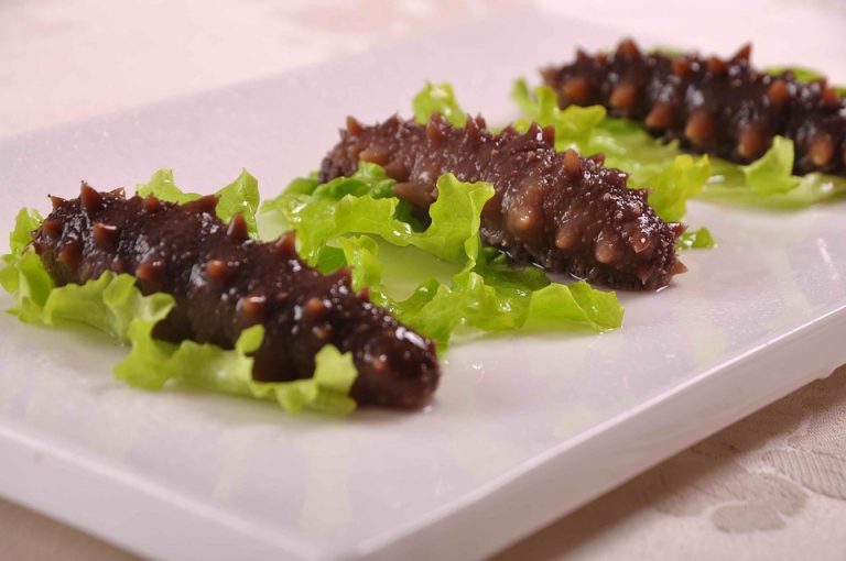 Sea cucumbers garnished on fresh lettuce.