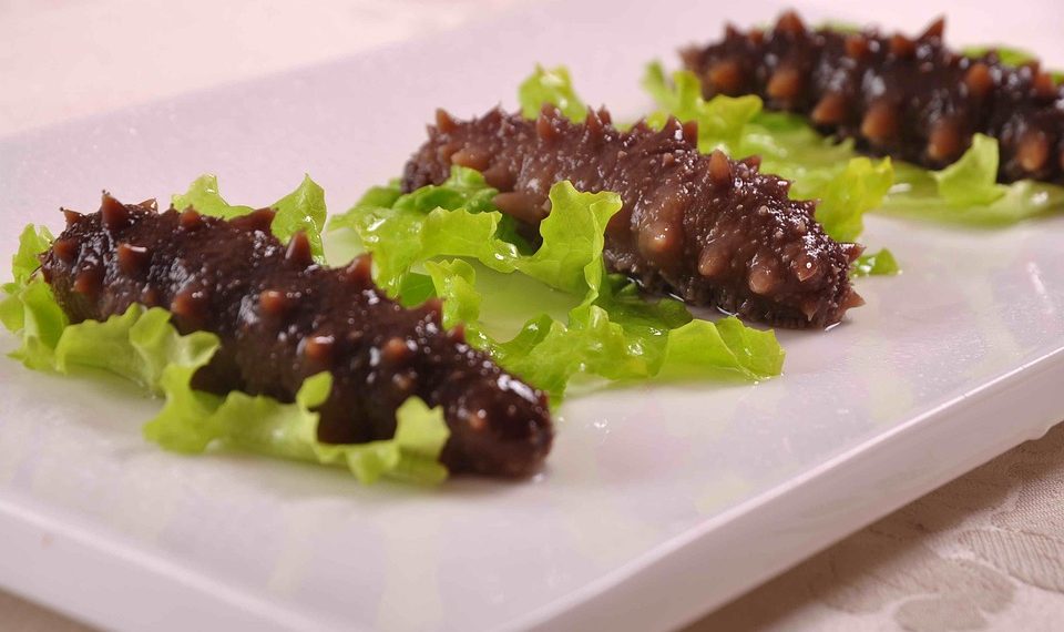 Sea cucumbers garnished on fresh lettuce.