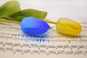 Blue and yellow tulips on sheet music.