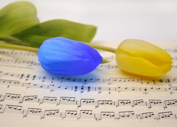 Blue and yellow tulips on sheet music.