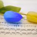Blue and yellow tulips on sheet music.