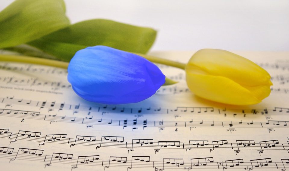 Blue and yellow tulips on sheet music.