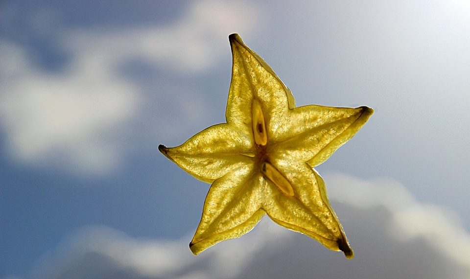 Star-shaped carambola slice against blue sky.