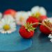Wild strawberries and daisies on a blue background.