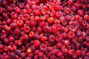 Fresh ripe raspberries piled together.