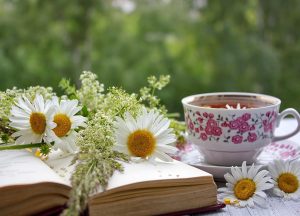 Flowery tea setup with an open book and daisies.