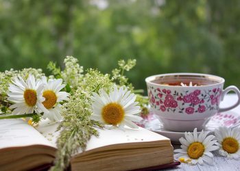Flowery tea setup with an open book and daisies.