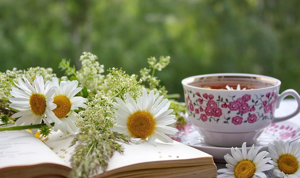 Flowery tea setup with an open book and daisies.