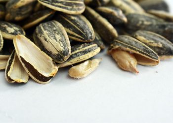 Sunflower seeds with shells partially cracked open.