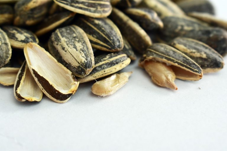 Sunflower seeds with shells partially cracked open.