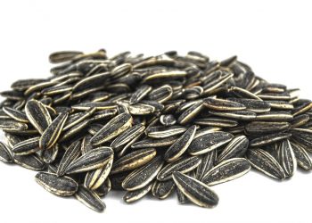 Sunflower seeds scattered on a white surface.