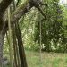 Apple tree with branches supported by wooden poles in a grassy orchard.