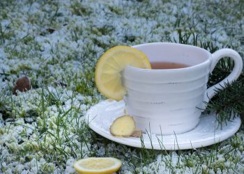 Cup of ginger tea with lemon on frosty grass.