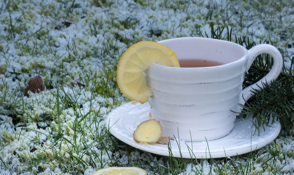 Cup of ginger tea with lemon on frosty grass.