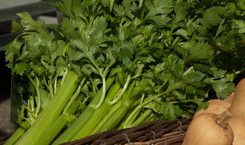 Fresh celery stalks in a wicker basket at a market.