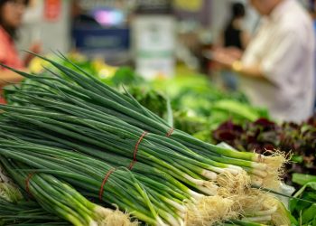 Fresh green onions stacked at market.