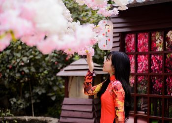 Woman in vibrant dress admiring cherry blossoms indoors.