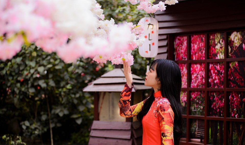 Woman in vibrant dress admiring cherry blossoms indoors.