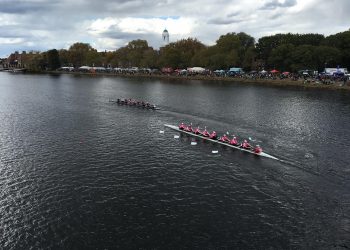 5 Energizing Moringa Recipes to Boost Your Stamina