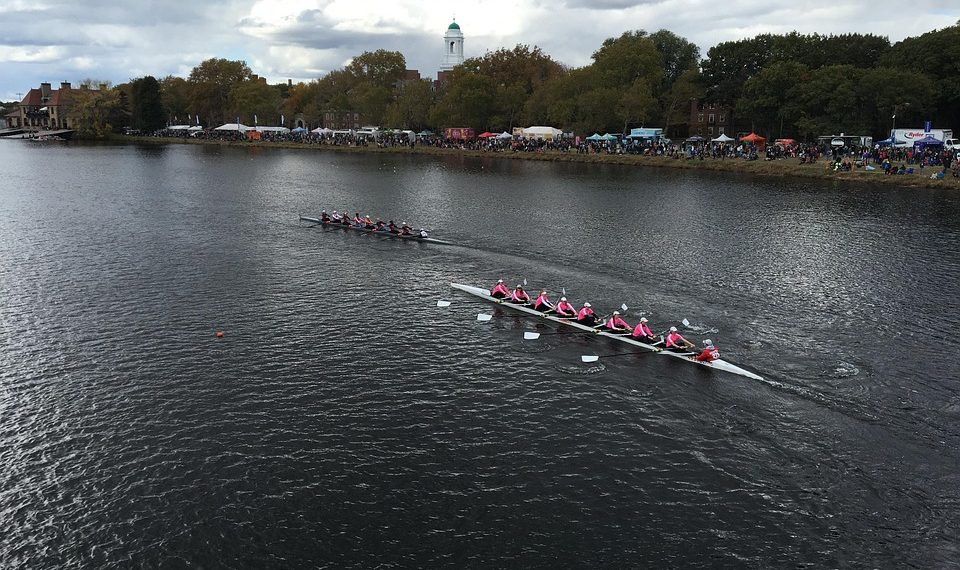 5 Energizing Moringa Recipes to Boost Your Stamina