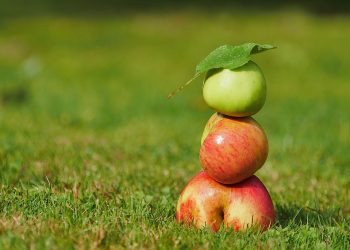 Stacked apples balancing on grass.