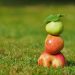 Stacked apples balancing on grass.
