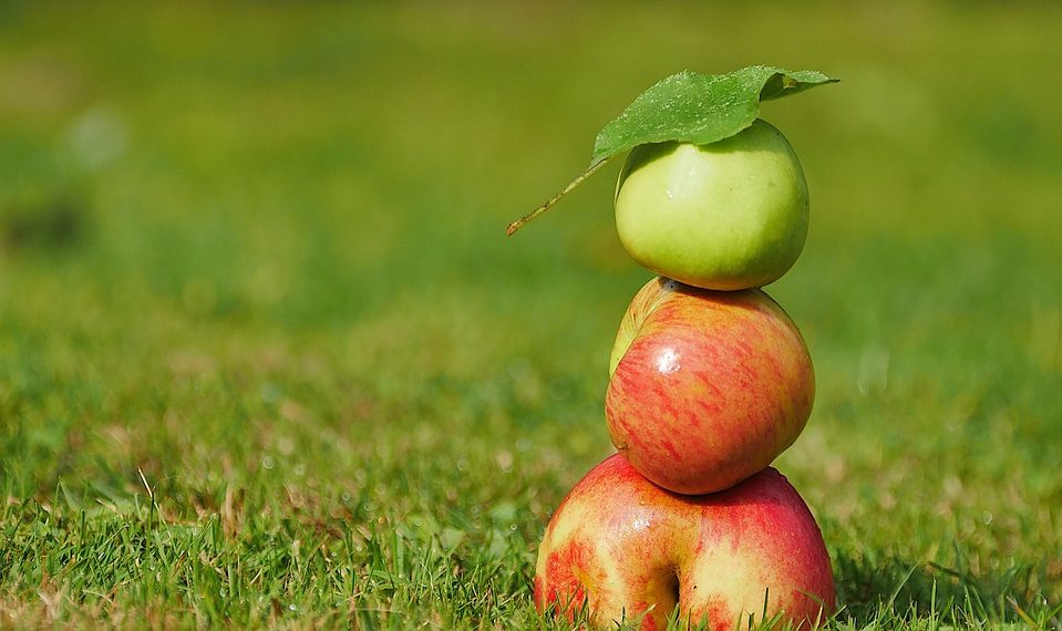 Stacked apples balancing on grass.