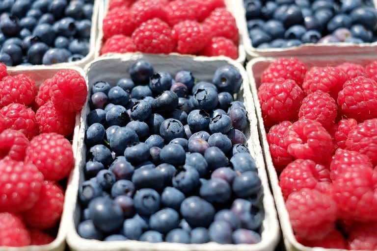 Fresh raspberries and blueberries in baskets.