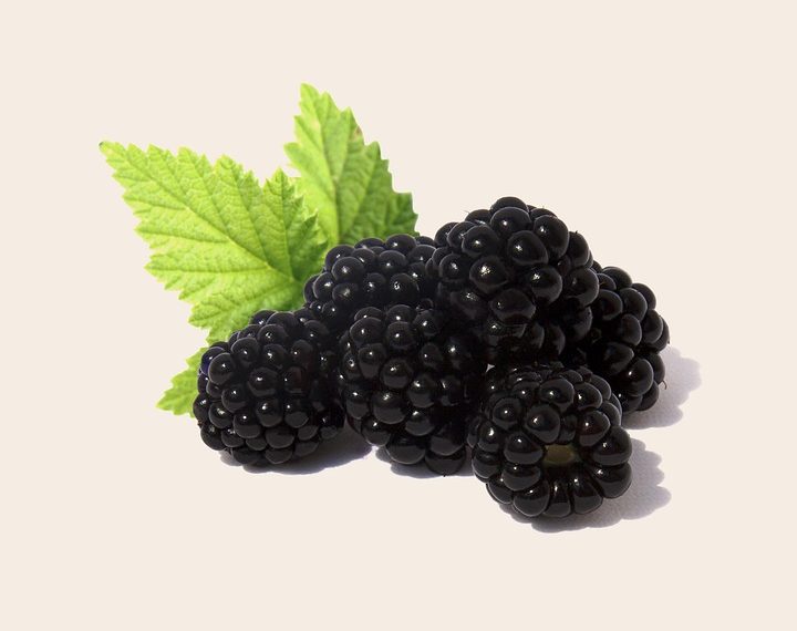 Blackberries with green leaves on a light background.