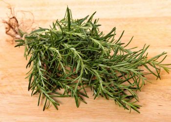 Fresh rosemary herbs on wooden cutting board.
