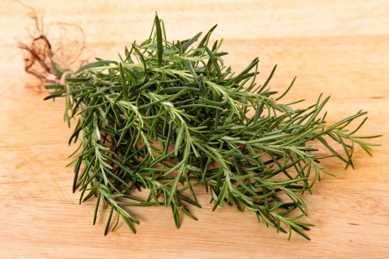 Fresh rosemary herbs on wooden cutting board.