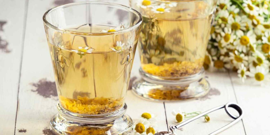 Chamomile tea in glasses with fresh chamomile flowers.