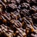 Drizzled chocolate cookies arranged in rows.