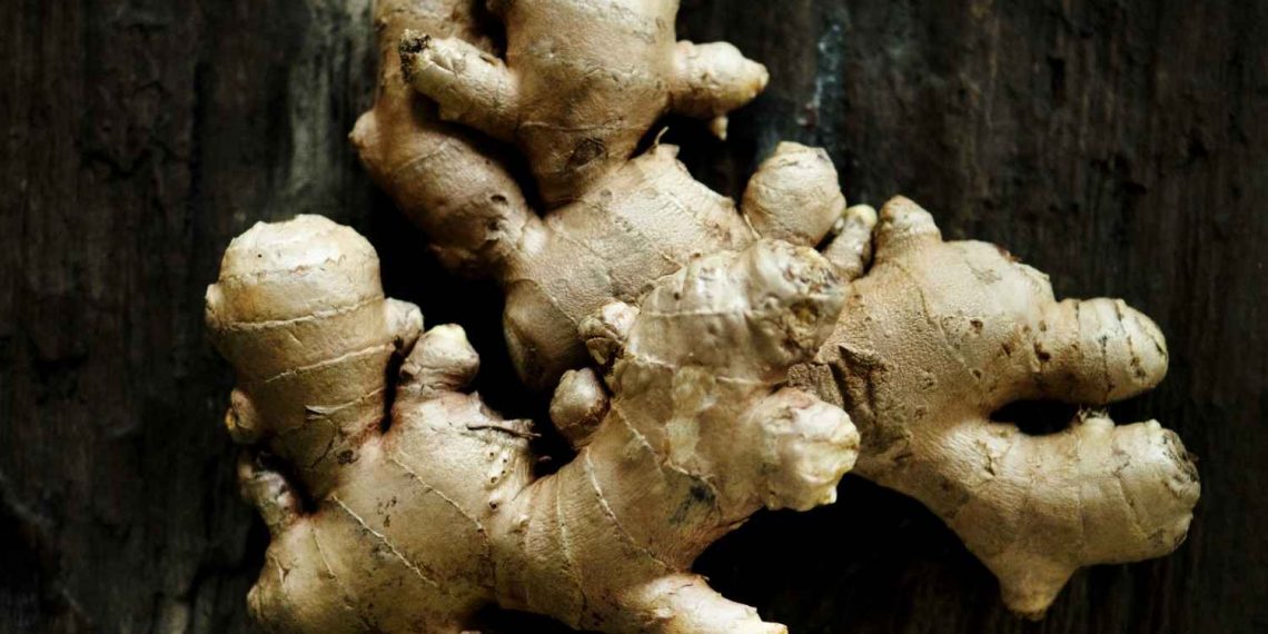 Ginger root on rustic wooden surface.