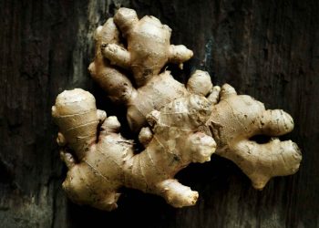 Ginger root on rustic wooden surface.